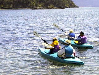 Orcas
                  IslandKayaks