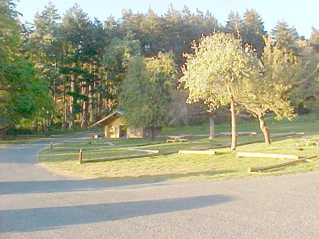Picture of San Juan Island Campground.